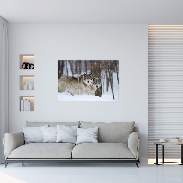 Obraz - Vlci v zime (90x60 cm)