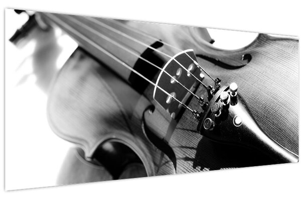 Obraz - Husle (120x50 cm)