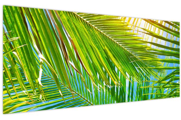 Obraz - Palmové listy (120x50 cm)