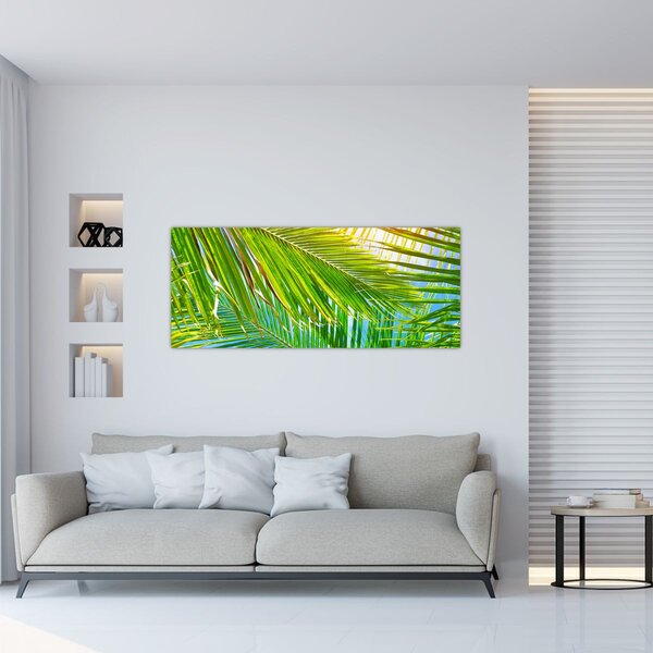 Obraz - Palmové listy (120x50 cm)