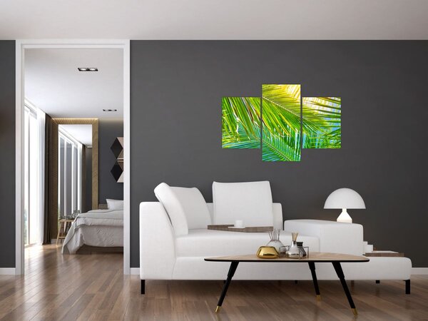 Obraz - Palmové listy (90x60 cm)