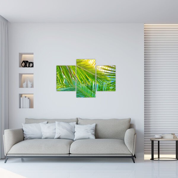Obraz - Palmové listy (90x60 cm)