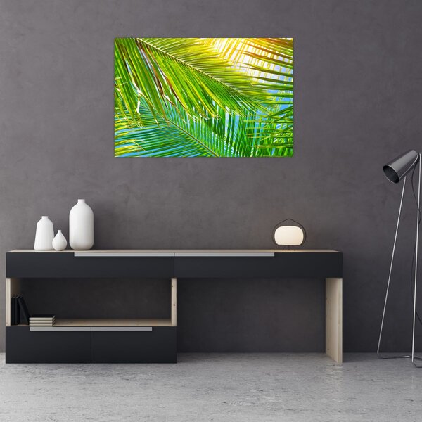 Obraz - Palmové listy (90x60 cm)