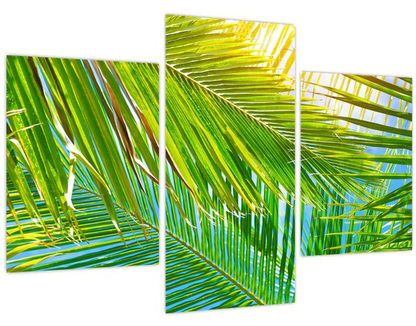 Obraz - Palmové listy (90x60 cm)