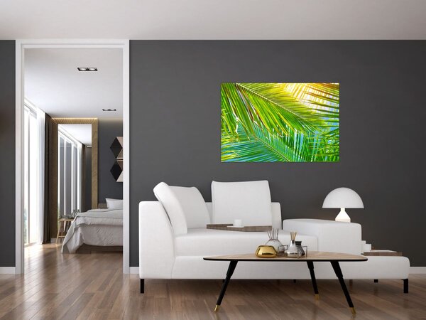 Obraz - Palmové listy (90x60 cm)