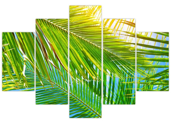 Obraz - Palmové listy (150x105 cm)