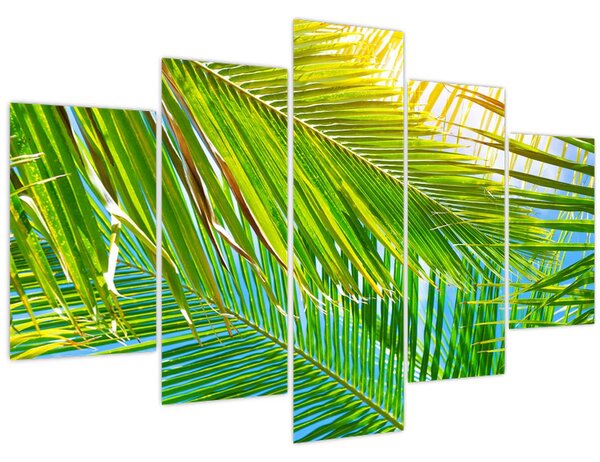 Obraz - Palmové listy (150x105 cm)