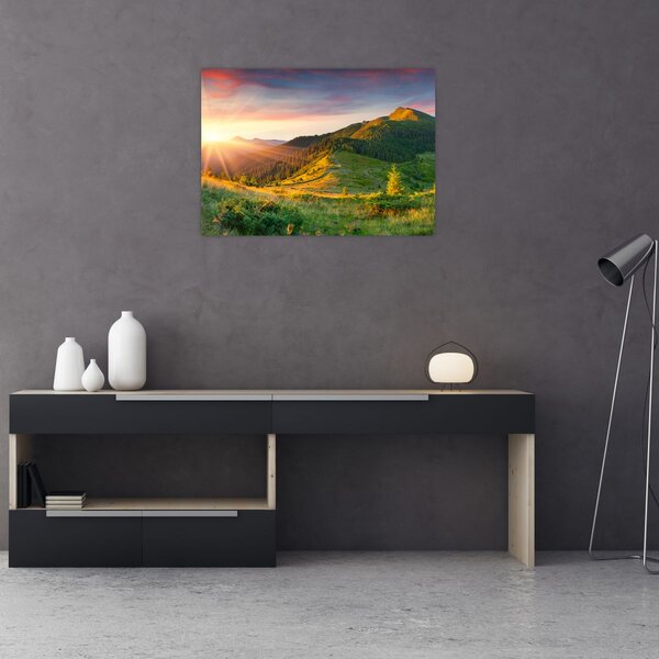 Obraz - Letná krajina (70x50 cm)