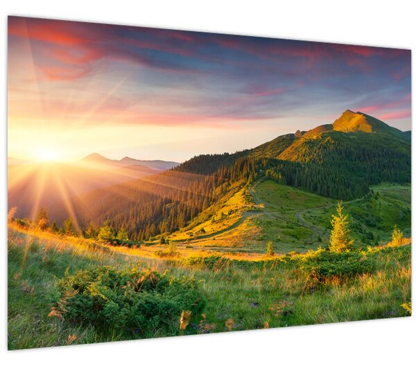 Obraz - Letná krajina (90x60 cm)