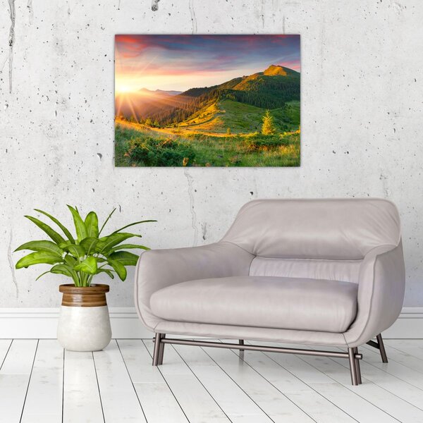 Obraz - Letná krajina (70x50 cm)