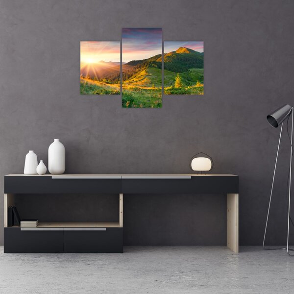 Obraz - Letná krajina (90x60 cm)