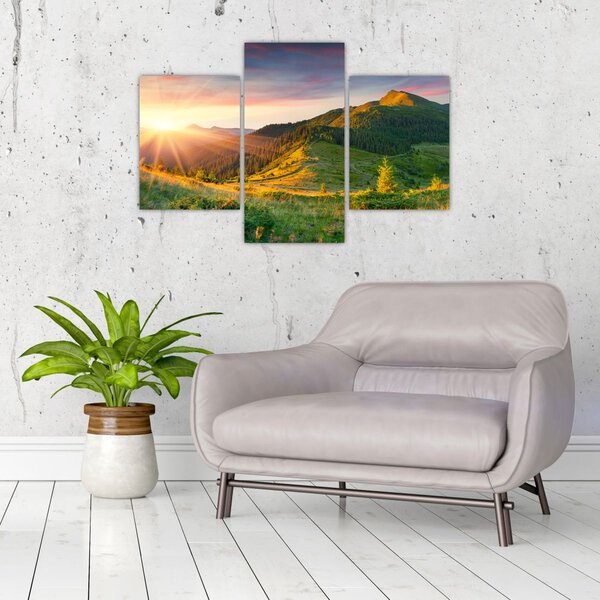 Obraz - Letná krajina (90x60 cm)