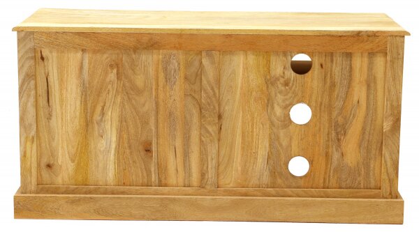 TV stolík Sita 120x60x45 indický masív mango