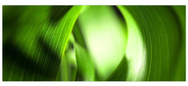 Obraz - Steblo trávy (120x50 cm)