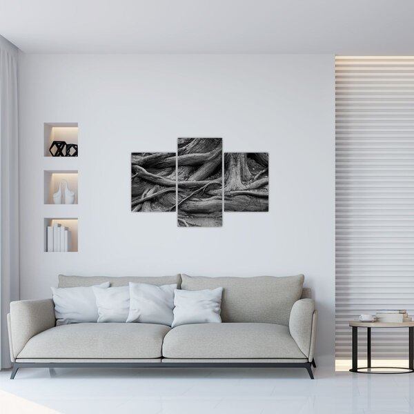 Obraz - Korene stromu (90x60 cm)