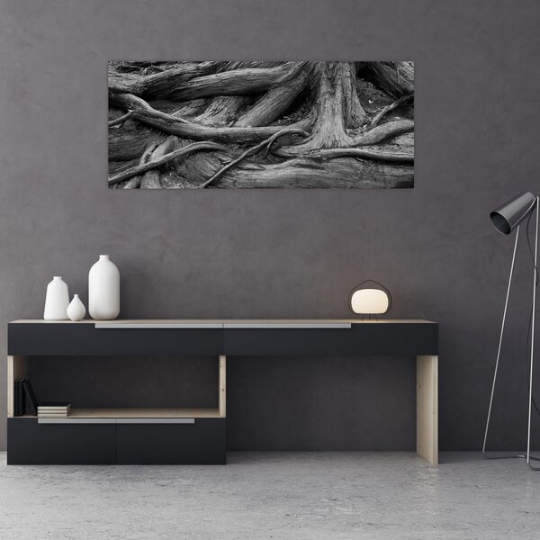 Obraz - Korene stromu (120x50 cm)