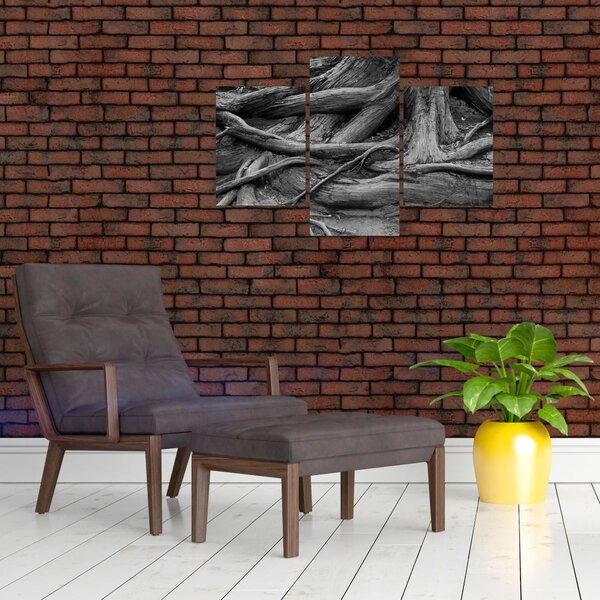 Obraz - Korene stromu (90x60 cm)