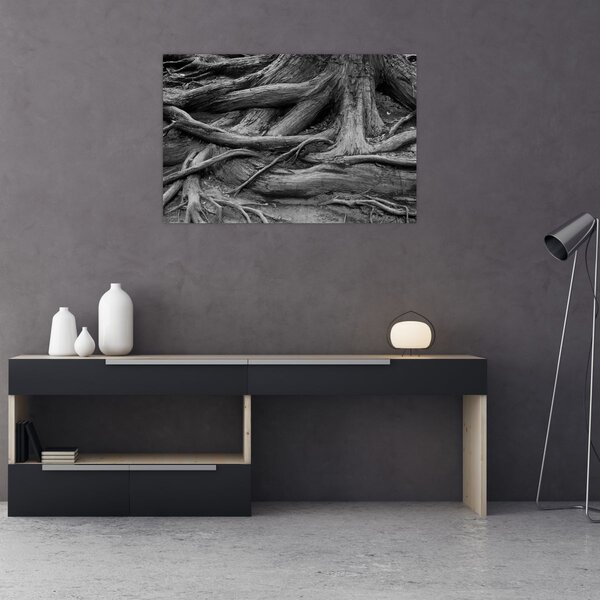 Obraz - Korene stromu (90x60 cm)
