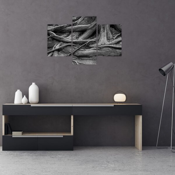 Obraz - Korene stromu (90x60 cm)