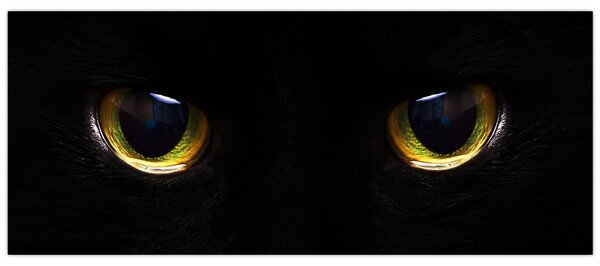 Obraz - Mačacie oči (120x50 cm)