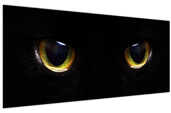 Obraz - Mačacie oči (120x50 cm)