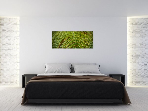 Obraz - Papraď (120x50 cm)