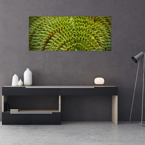 Obraz - Papraď (120x50 cm)