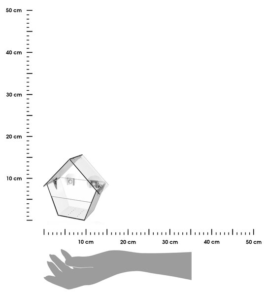Kŕmidlo pre vtáky s prísavkami Clear, 15x15x9 cm, plast, transparentná