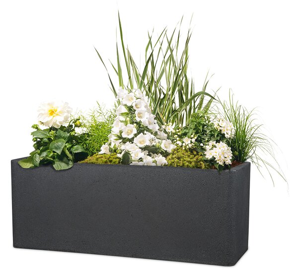 Scheurich Dlhý kvetináč Cube Box (60 cm, žula/čierna) (100349940)