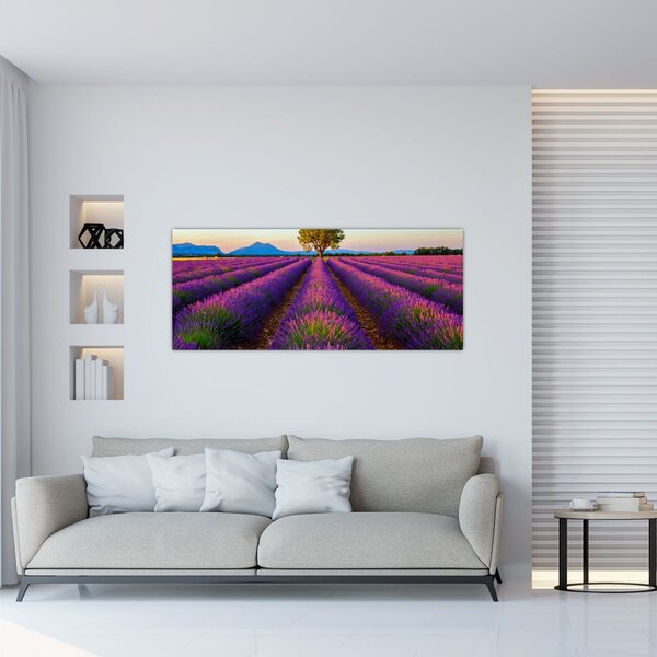 Obraz - Levanduľové pole (120x50 cm)