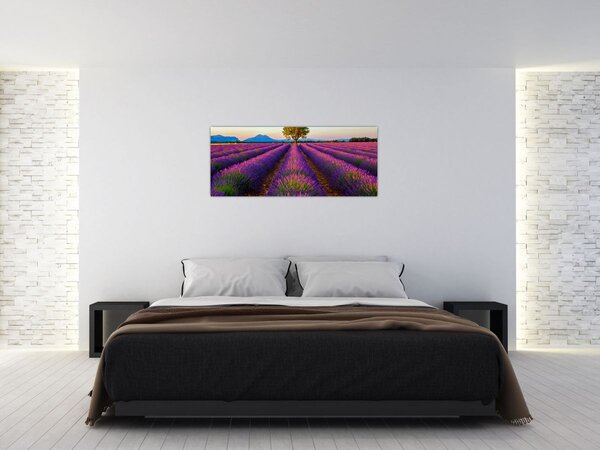 Obraz - Levanduľové pole (120x50 cm)