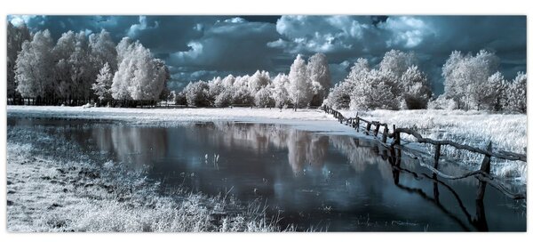 Obraz - Zamrznutá krajina (120x50 cm)