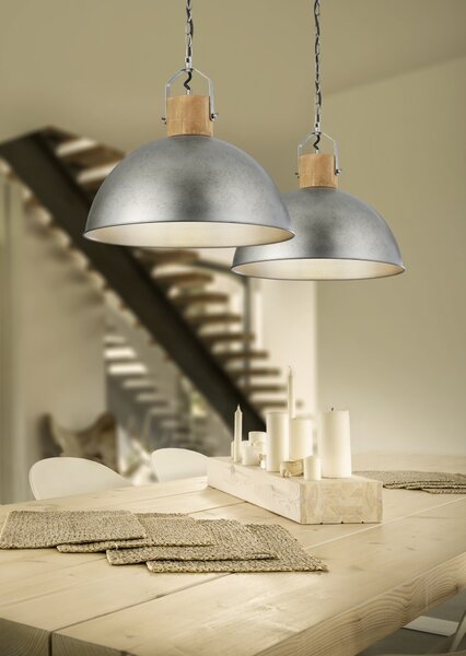 Trio 303400167 závesné stropné svietidlo Delhi 1x60W | E27