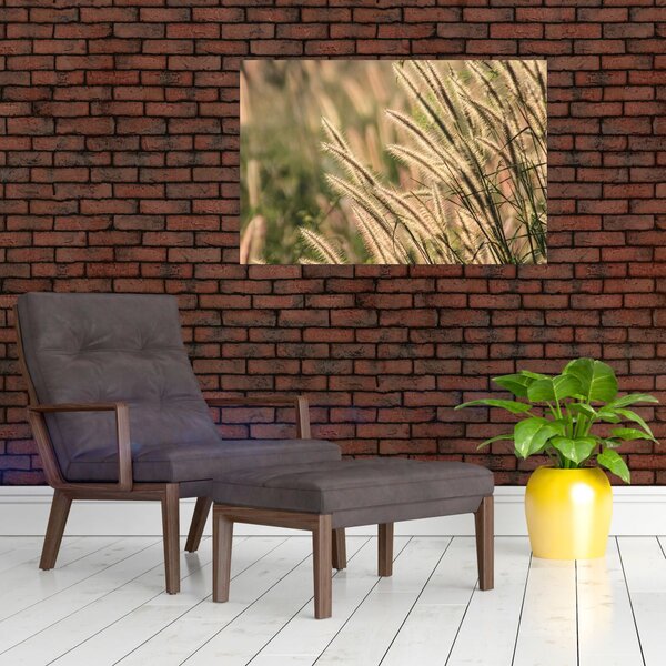 Obraz - Obilie (90x60 cm)
