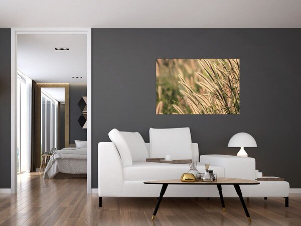 Obraz - Obilie (90x60 cm)
