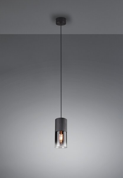 Trio 310600132 závesné stropné svietidlo Robin 1x28W | E27