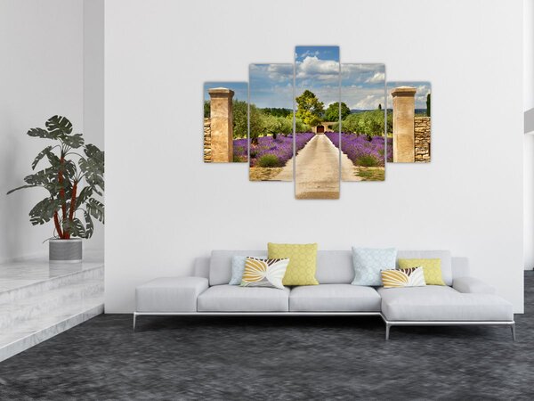 Obraz - Levanduľové cesty (150x105 cm)