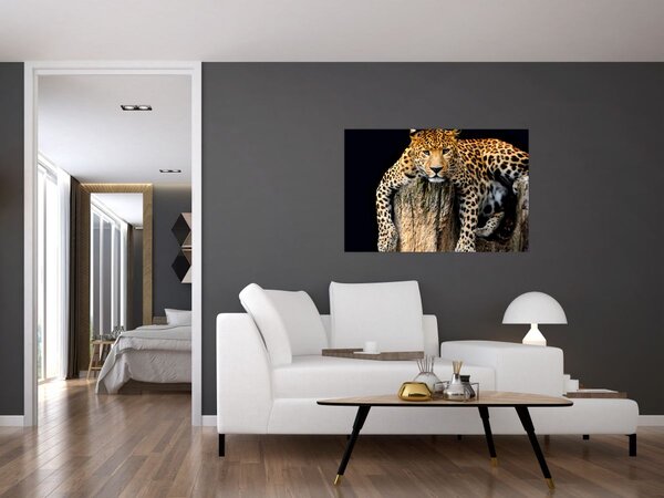 Obraz - Gepard (90x60 cm)