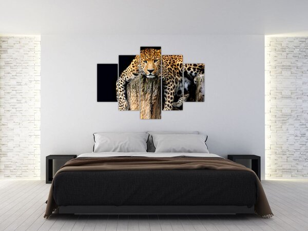 Obraz - Gepard (150x105 cm)