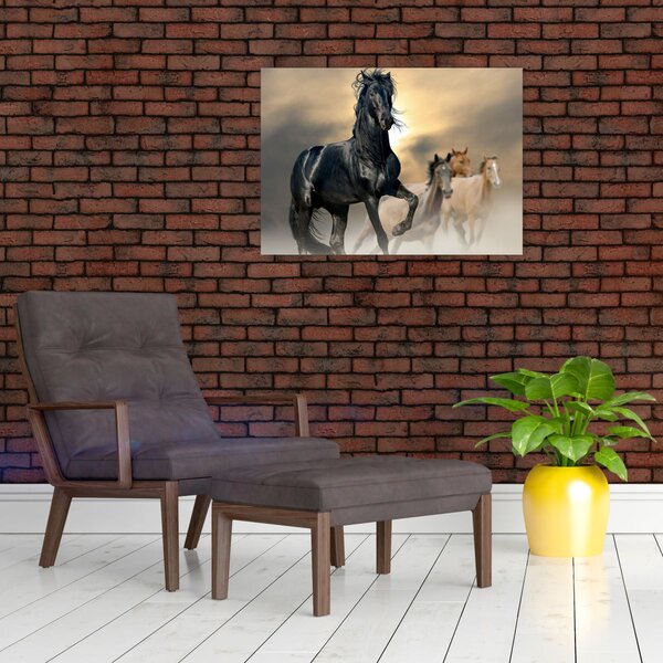 Obraz - Kone (70x50 cm)