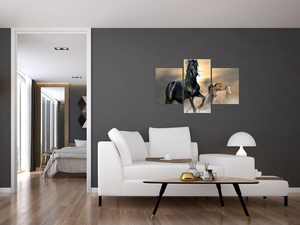 Obraz - Kone (90x60 cm)