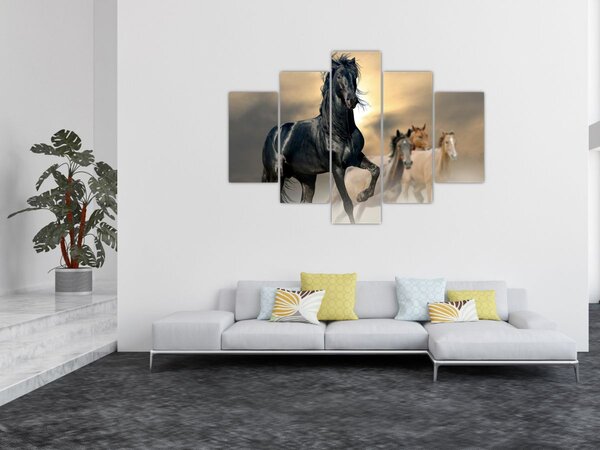 Obraz - Kone (150x105 cm)