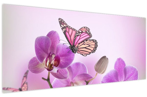 Obraz - Motýľ na kvetoch orchidey, lila (120x50 cm)