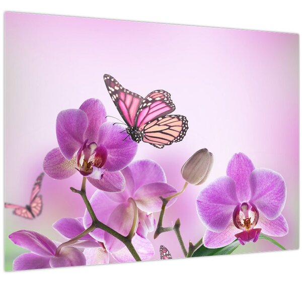 Obraz - Motýľ na kvetoch orchidey, lila (70x50 cm)