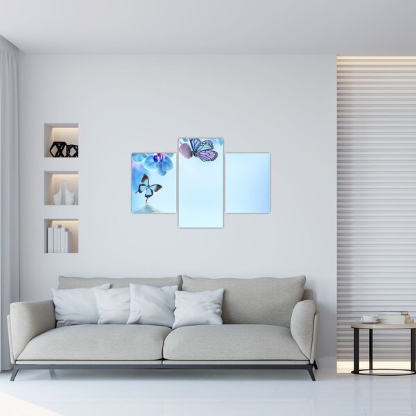 Obraz - Motýľ na kvetoch orchidey, modrý (90x60 cm)
