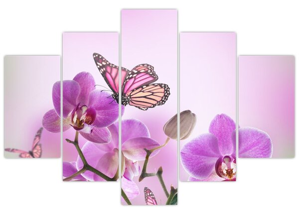 Obraz - Motýľ na kvetoch orchidey, lila (150x105 cm)