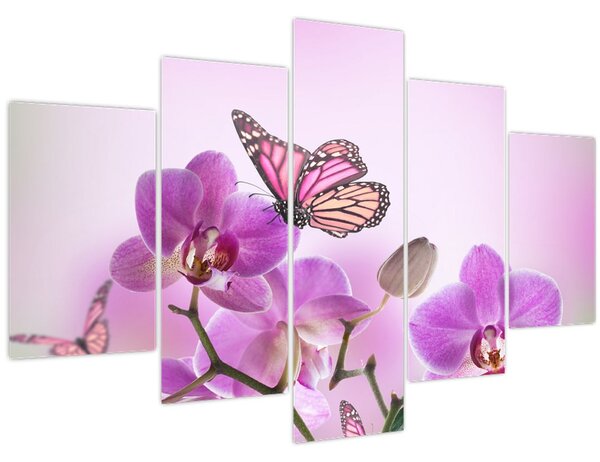 Obraz - Motýľ na kvetoch orchidey, lila (150x105 cm)