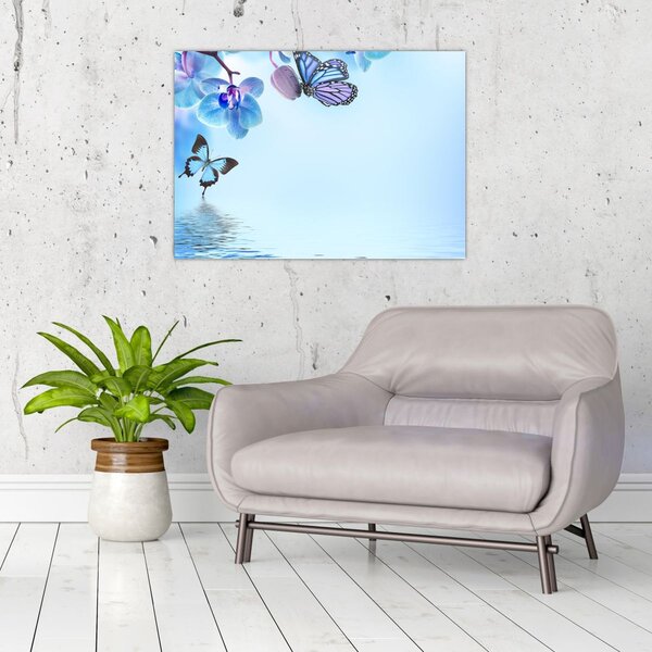 Obraz - Motýľ na kvetoch orchidey, modrý (70x50 cm)