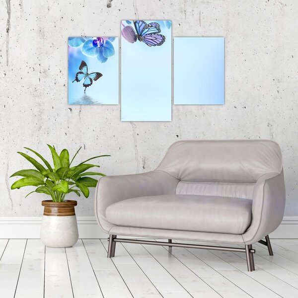 Obraz - Motýľ na kvetoch orchidey, modrý (90x60 cm)