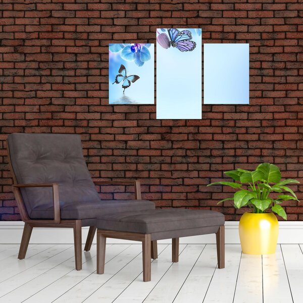 Obraz - Motýľ na kvetoch orchidey, modrý (90x60 cm)